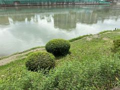 -望江楼公园