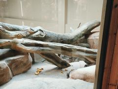-宁波野生动物园