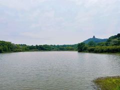 -池州市平天湖风景区