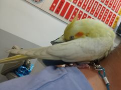 菜单-陈八两面家(华孚写字楼店)