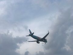 -空港花田景区