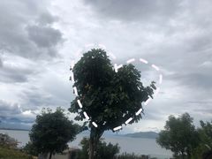 -大理洱海