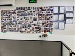 -安安宠医·臻爱宠物医院·宠保定点(营门口路分院)