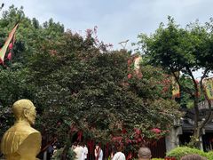 -泸州老窖景区