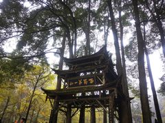 -青城山