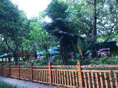 -晓港公园