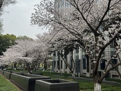 -星湖街(地铁站)