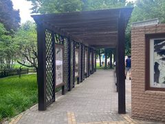 -莲花池公园