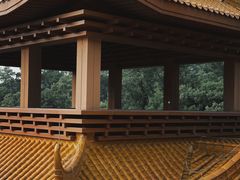 -深圳仙湖植物园
