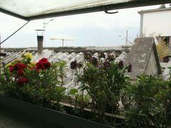 -翠田Green Field Kitchen