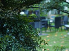 -大可堂普洱茶馆(襄阳南路馆)