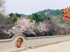 -蟒山国家森林公园天池停车场