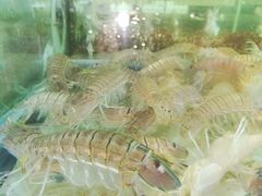 -国际金钻海鲜餐厅