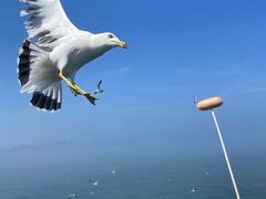-海驴岛(荣成市)
