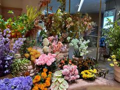 -BEAST野兽派(上海浦东嘉里城店)