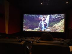 -AMG海上明珠影城(上海环球港RealDCinema店)