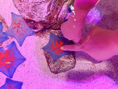 -沈阳海洋探索中心