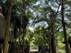 -海南清水湾莱佛士酒店