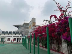 -四川大学(望江校区)