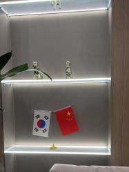 -上海首尔丽格医疗美容医院