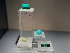-中国地质博物馆