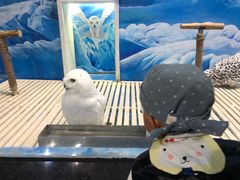 -成都浩海立方海洋公园