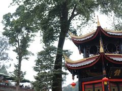 -峨眉山报国寺