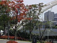 -福田红树林生态公园