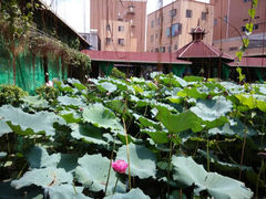 android_upload_pic-荷香居(洞企石路店)