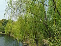 -和子足浴SPA会馆(梁溪店)