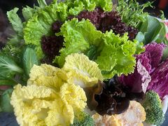 -百草滩羊清水涮羊肉·清真·宁夏盐池滩羊(莲花桥店)