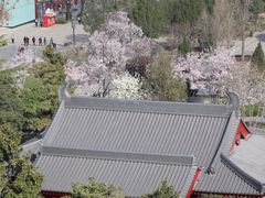 -大慈恩寺(大雁塔)