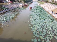 -赵州桥景区