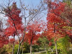 -吉林大学(南岭校区)