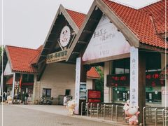 -上海海湾国家森林公园