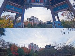 -武汉园博园(武汉自然博物馆)
