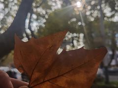 -南京维景国际大酒店(南京博物院店)