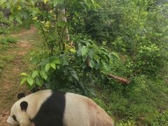 -泉州海丝野生动物世界