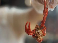 -琥珀老六龙虾(四里河店)