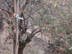 -东方巨龟苑景区