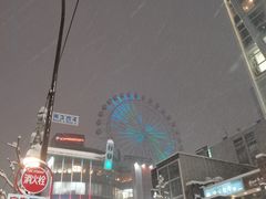-狸小路商店街