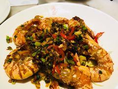 老虎虾-糖朝(尖沙咀店)