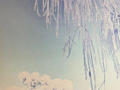 -雾凇岛