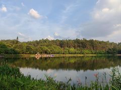 -南国桃园旅游度假区