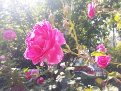 -武汉大学人民医院(首义院区)