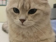 -美联众合24小时·皮肤科·外科·全科诊疗中心(华苑分院)