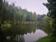 -东郊湿地公园