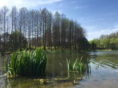 -新江湾城公园