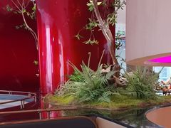 -老板恋上鱼(恒隆广场店)