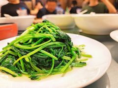清炒菠菜-杭州新新饭店·1913餐厅